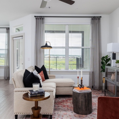 Living Room with Gray Couch 